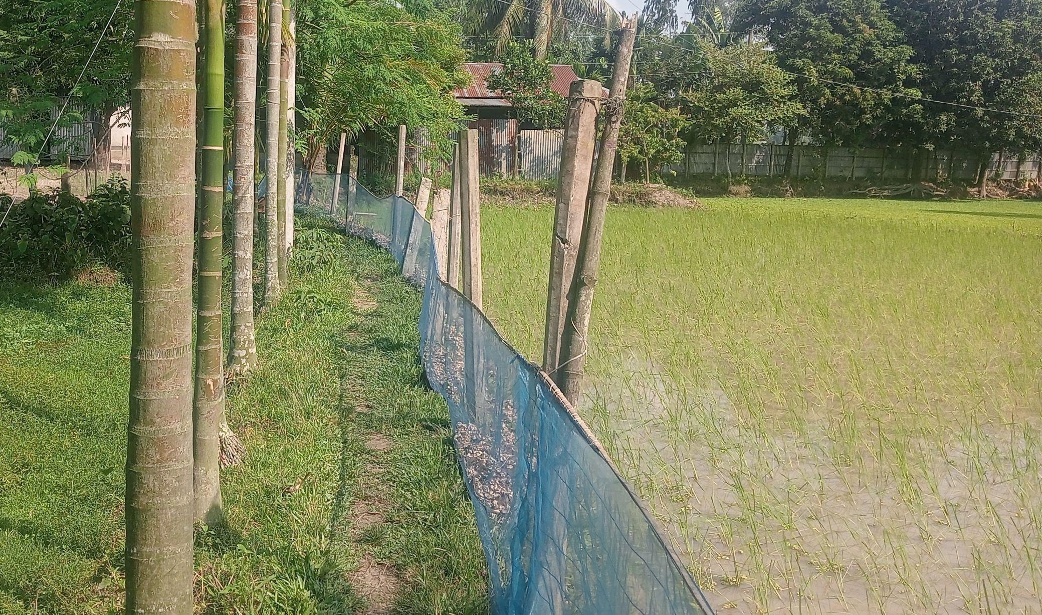 মসজিদ ও মাদ্রাসার জমি সন্তানের নামে হস্তান্তরের অভিযোগ